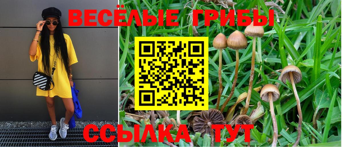 Галлюциногенные грибы Magic Shrooms Сосновоборск