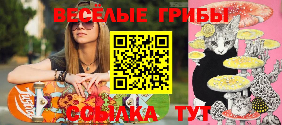Сосновоборск  купить   Вход с VPN  Псилоцибиновые грибы Psilocybine cubensis 